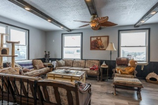 365 Lily Lake Road, Selwyn Ontario