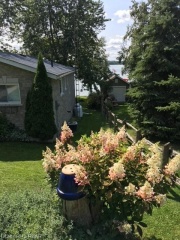 2164 Cedarwood Lane, Lakefield Ontario
