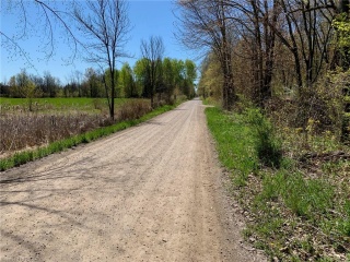 260 South Shores Road, Trent Hills Ontario