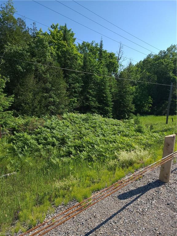 27850 HIGHWAY 7, Mountain Grove, Ontario, Canada