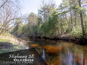 Waterfront Homes Cottages For Sale Apsley On Rick French