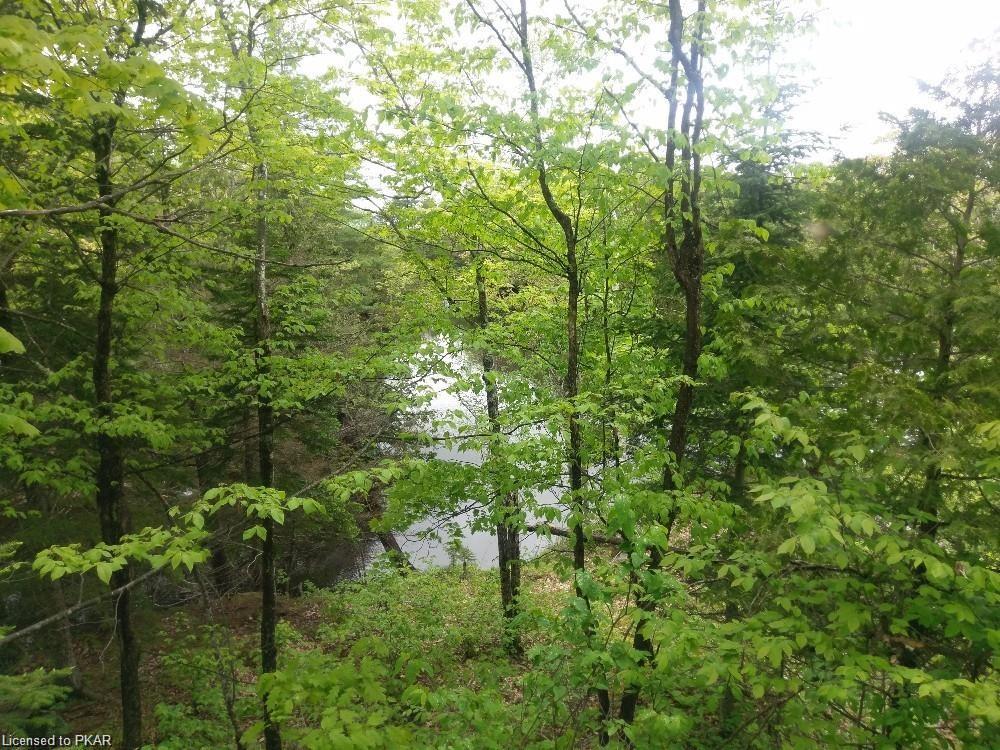 N/A CORDOVA LAKE ., Havelock Ontario, Canada