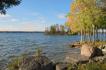 2482 Buckhorn Rd, Lakefield Ontario