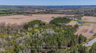 111 Victoria St, Georgina Ontario