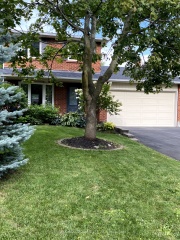 391 Ashworth Dr, Newmarket Ontario