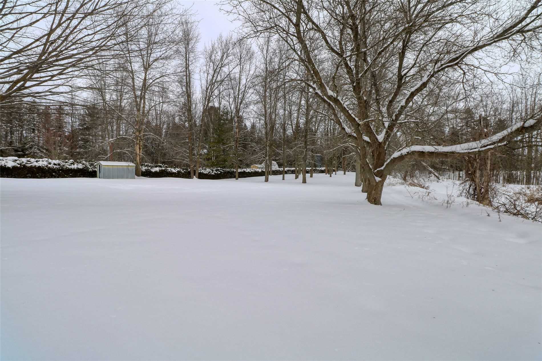 3 Patricia Cres, Brock, Ontario, Canada