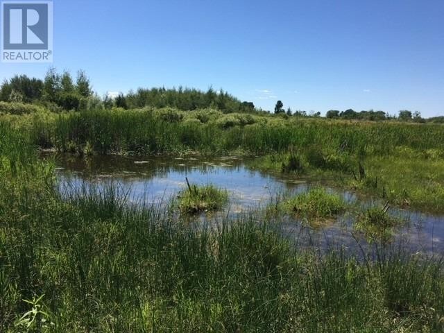 1049 Sandringham Rd, Kawartha Lakes, Ontario, Canada
