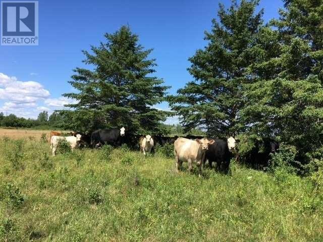 1049 Sandringham Rd, Kawartha Lakes, Ontario, Canada