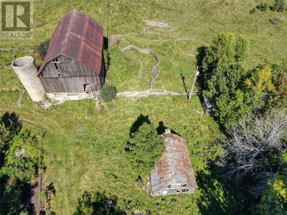 1049 Sandringham Rd, Kawartha Lakes, Ontario, Canada