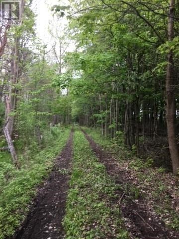 1049 Sandringham Rd, Kawartha Lakes, Ontario, Canada