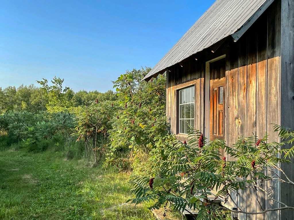595 Centennial Park Dr, Kawartha Lakes, Ontario, Canada