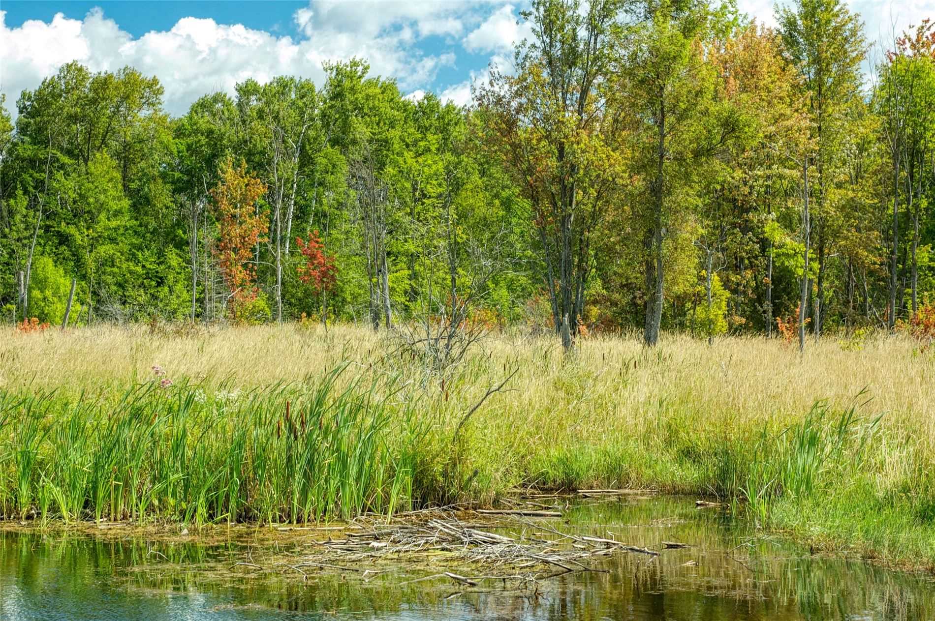 595 Centennial Park Dr, Kawartha Lakes, Ontario, Canada