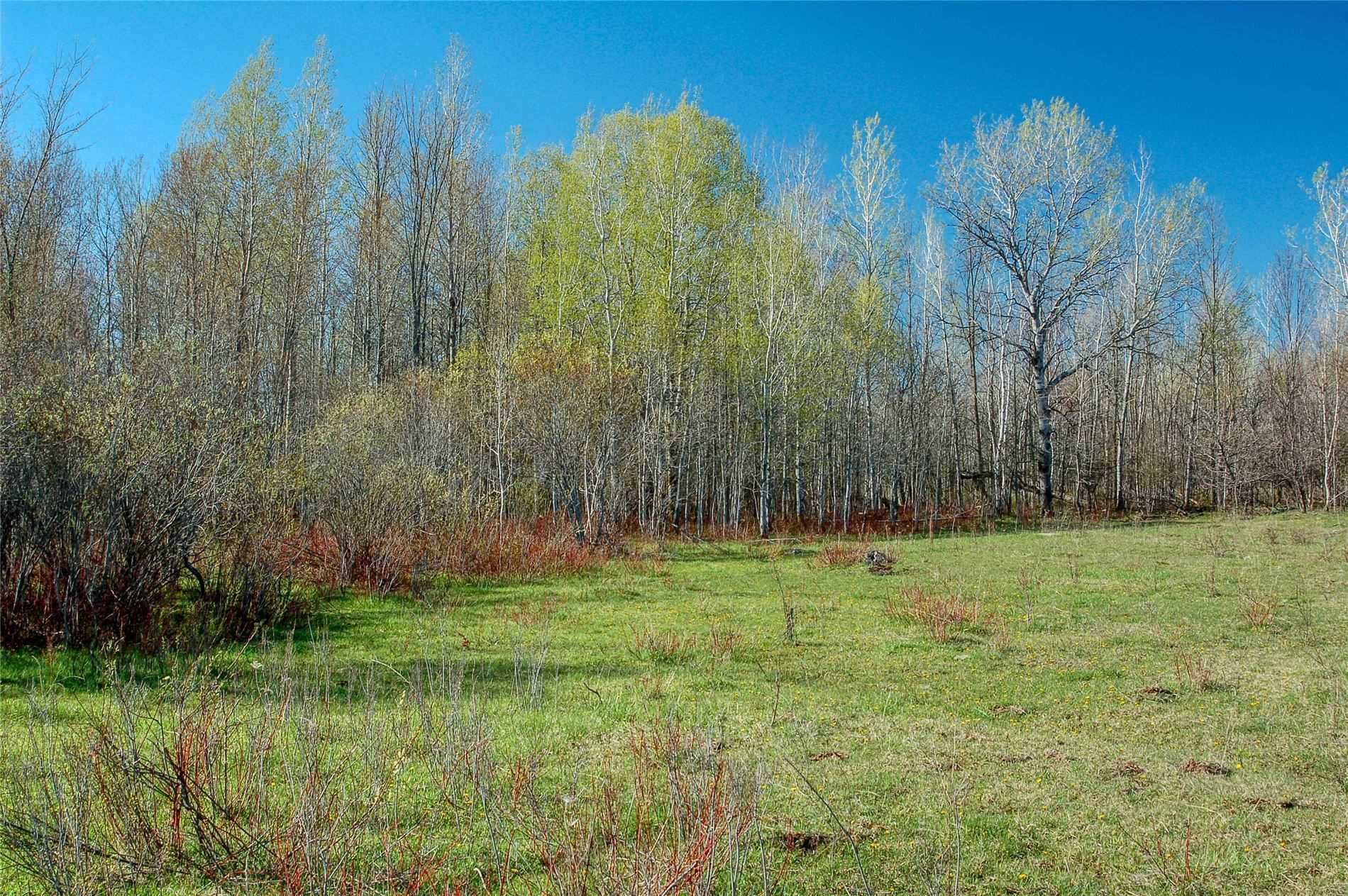 595 Centennial Park Dr, Kawartha Lakes, Ontario, Canada