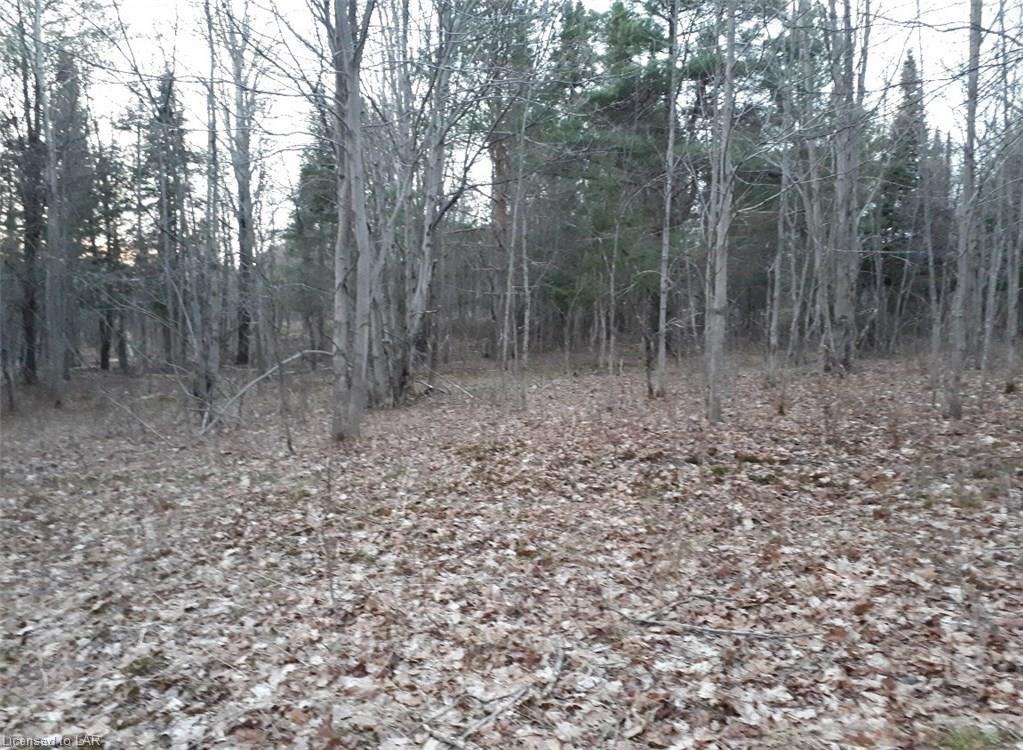 60 Highway, Huntsville Ontario, Canada