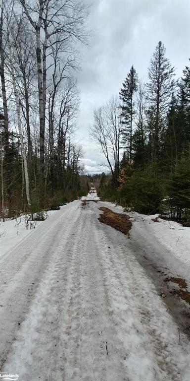 LT 28,30,31 EMERSON Road, Baysville, Ontario, Canada