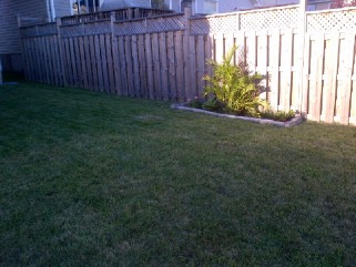 443 MAUREEN ST, Kingston Ontario, Canada