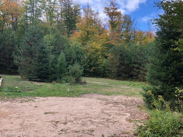 PARK Road N, Machar Township Ontario, Canada