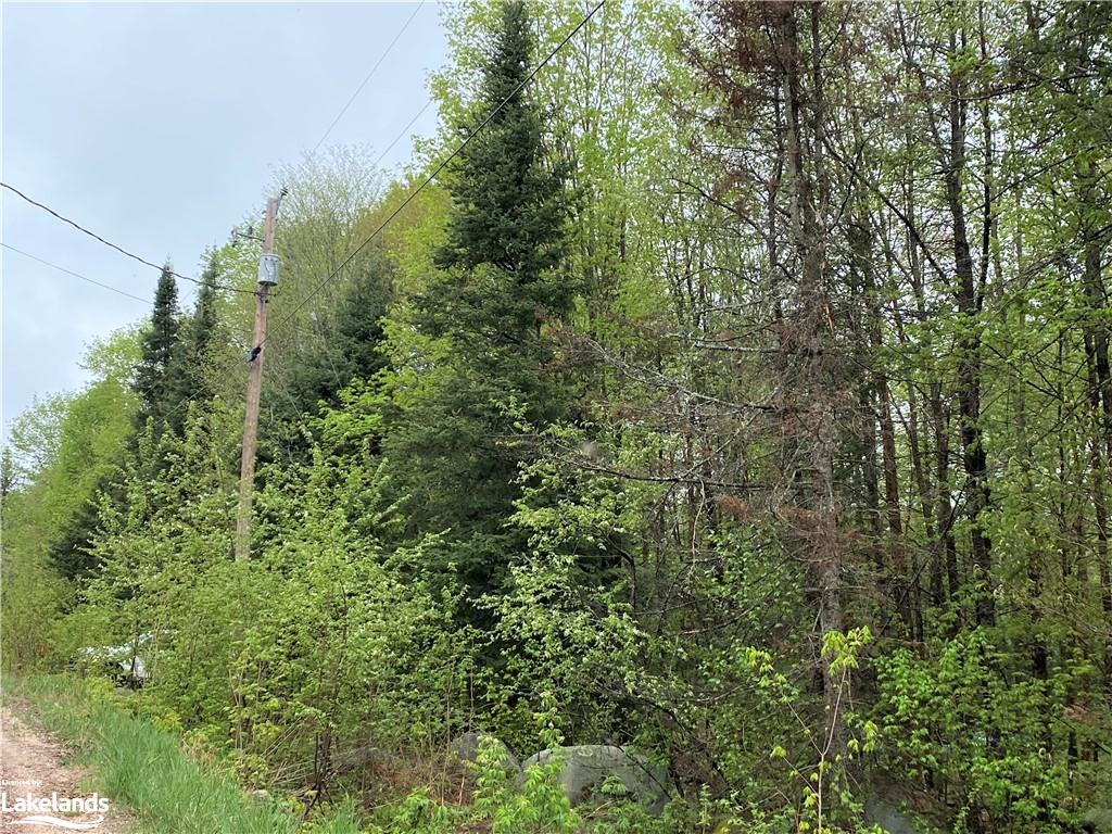 OLD MUSKOKA Road N, South River, Ontario, Canada