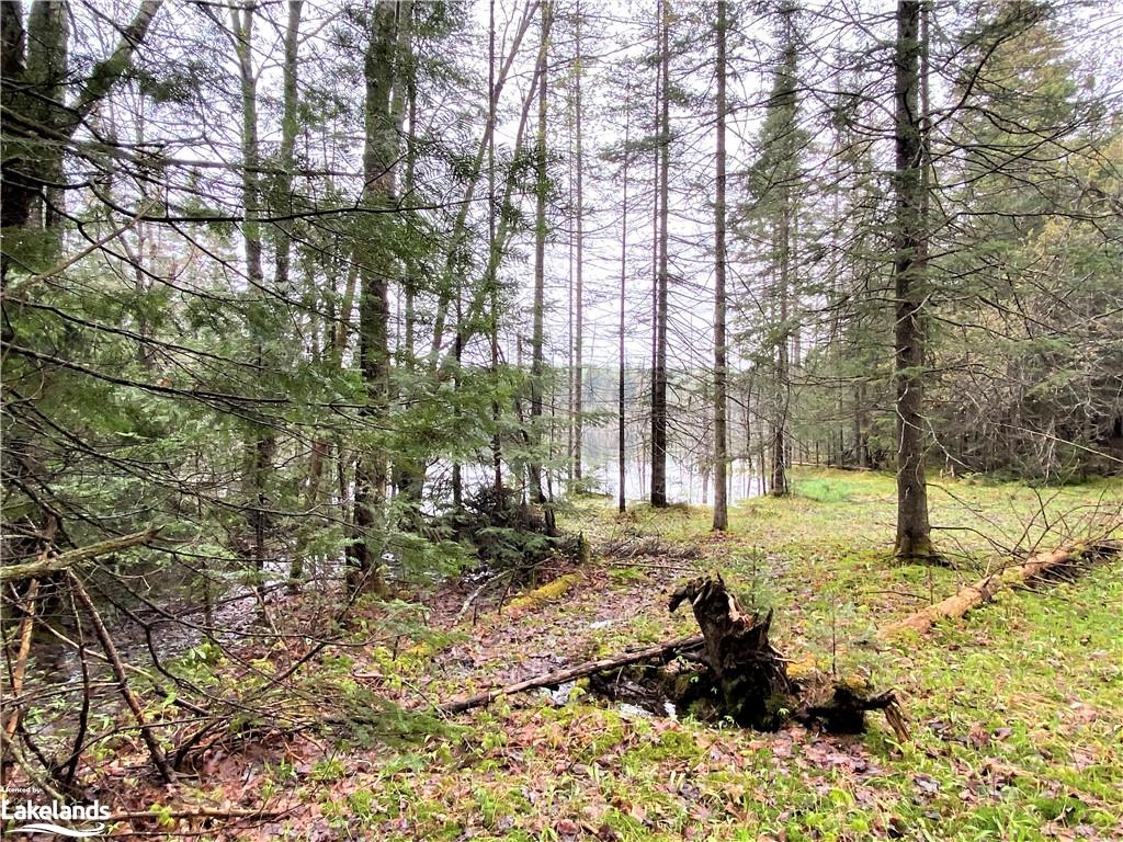 OLD MUSKOKA Road N, South River, Ontario, Canada
