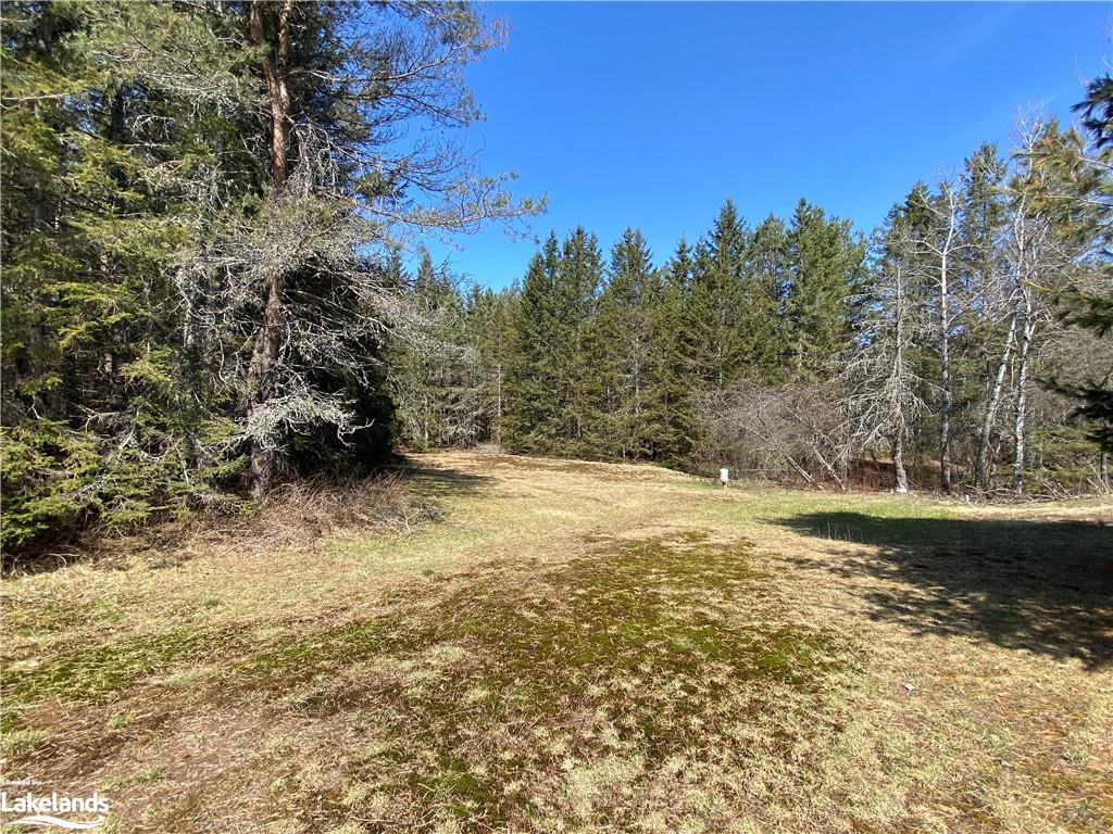 11118 124 Highway, South River, Ontario, Canada