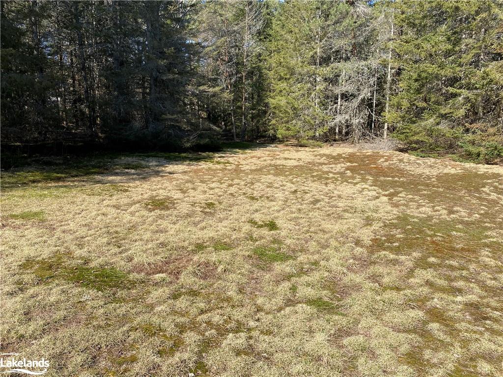 11118 124 Highway, South River, Ontario, Canada