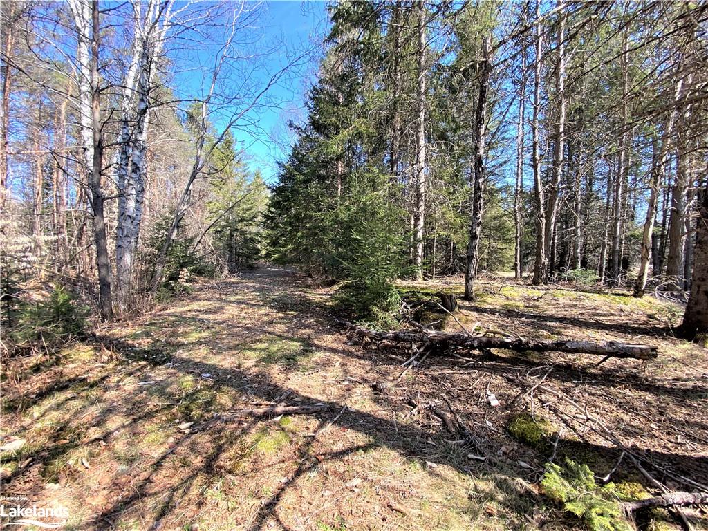 11118 124 Highway, South River, Ontario, Canada