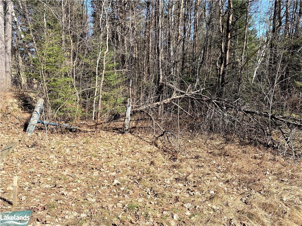 11118 124 Highway, South River, Ontario, Canada