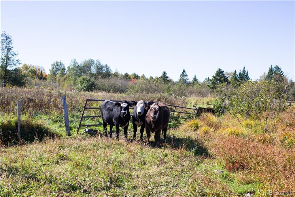 2671 625 Route, Parker Ridge, New Brunswick, Canada