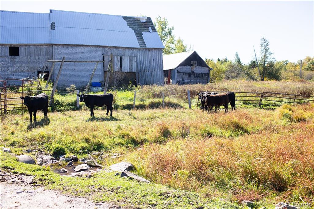 2671 625 Route, Parker Ridge, New Brunswick, Canada
