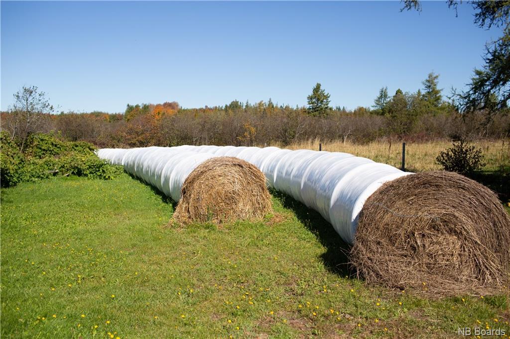 2671 625 Route, Parker Ridge, New Brunswick, Canada