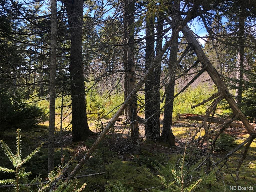 - Hillcrest Road, Saint John, New Brunswick, Canada
