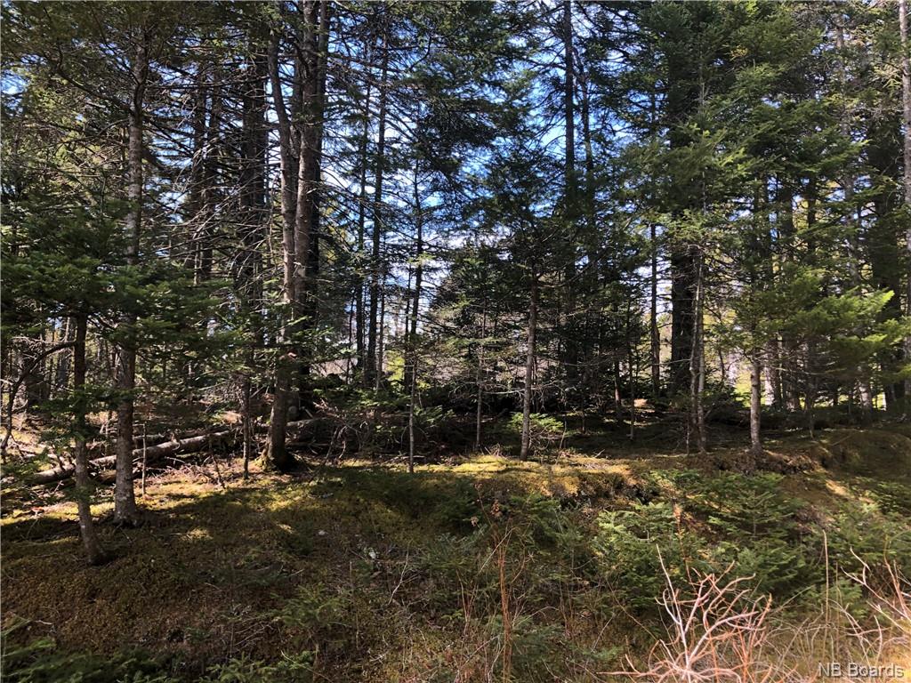 - Hillcrest Road, Saint John, New Brunswick, Canada