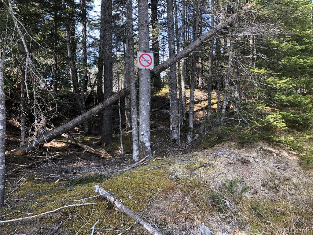 - Hillcrest Road, Saint John, New Brunswick, Canada