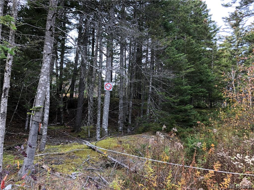 - Hillcrest Road, Saint John, New Brunswick, Canada