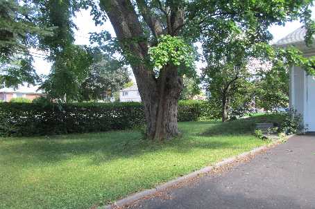 412 Burnhamthorpe Rd, Toronto, Ontario, Canada photo 4