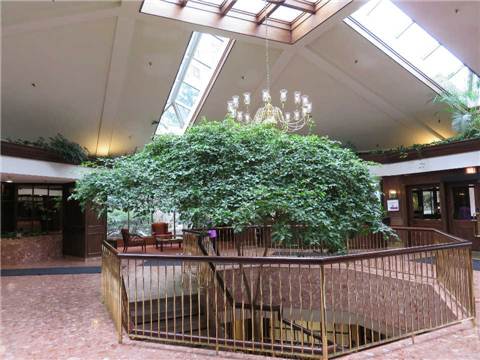 1320 Islington Ave, Toronto, Ontario, Canada photo 2