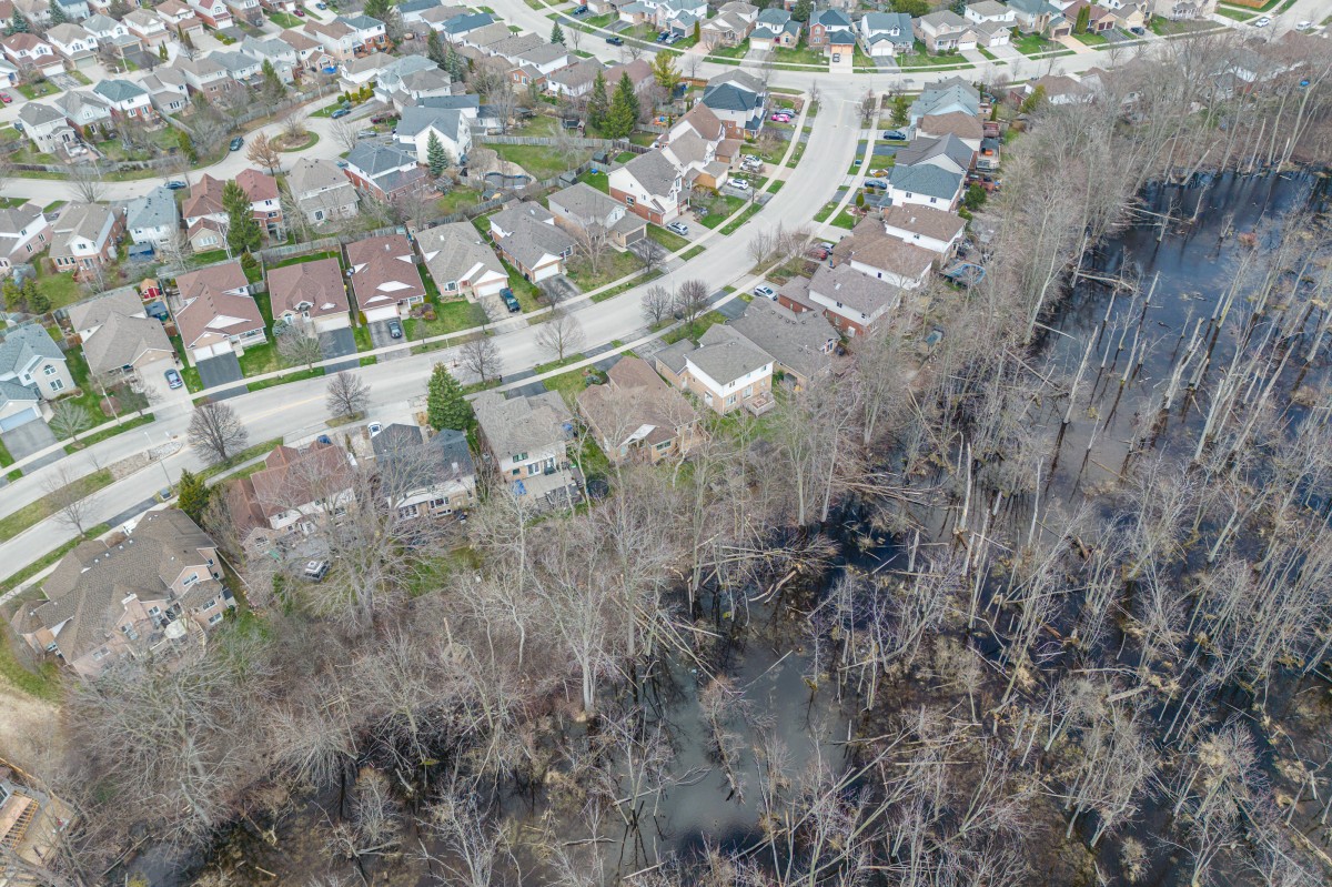 573 WILLOW WOOD Drive, Waterloo, Ontario, Canada photo 40