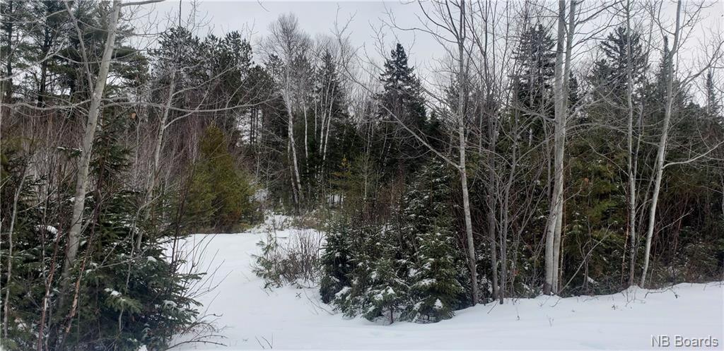 98-1 Ripley Lane, Boiestown, New Brunswick, Canada