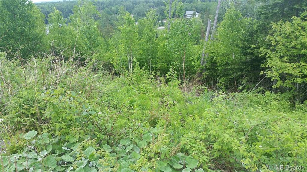 Lot 1 Clearview Court, Nackawic New Brunswick, Canada