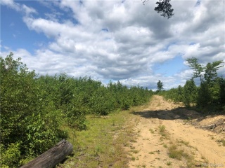 Timberland Storeytown Road, Storeytown New Brunswick, Canada