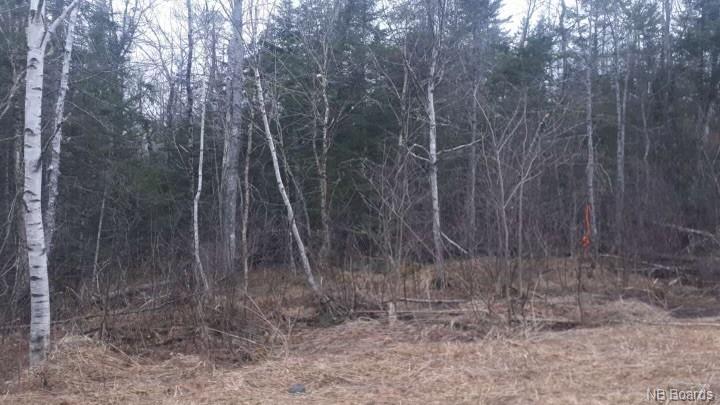 9 Reicker Road, Kars, New Brunswick, Canada