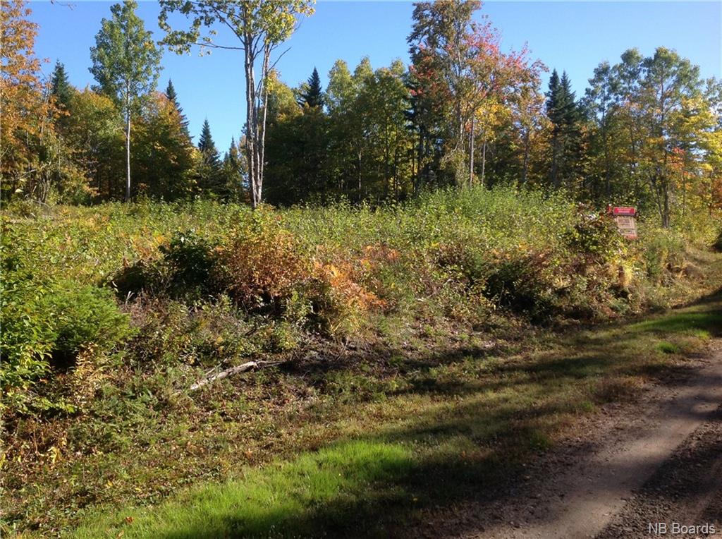 LOT 2017-2 Discovery Lane, Midland New Brunswick, Canada