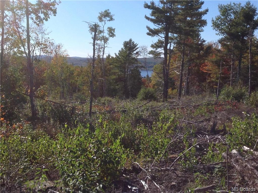 LOT 2017-6 Discovery Lane, Midland New Brunswick, Canada