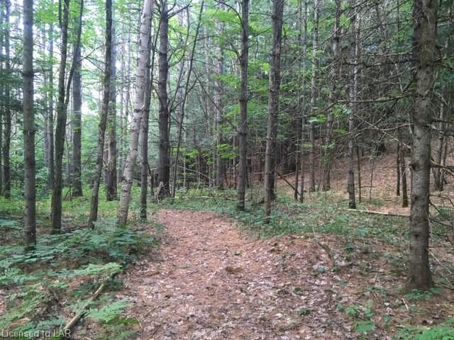 PRENTISKOKA HEIGHTS Road, Minden Hills Ontario, Canada