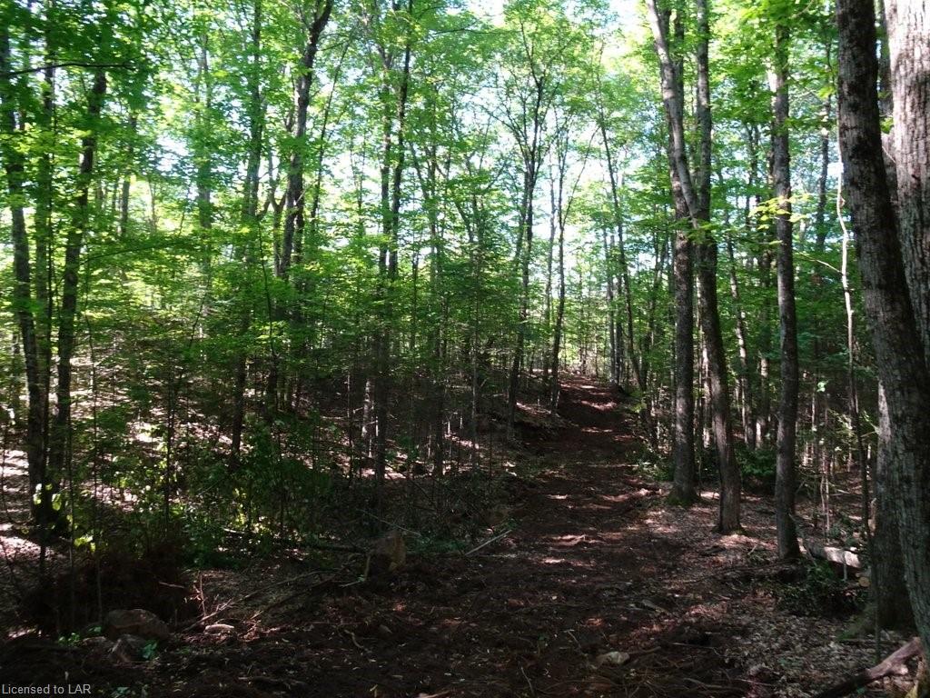 SELECT Trail, Haliburton Ontario, Canada