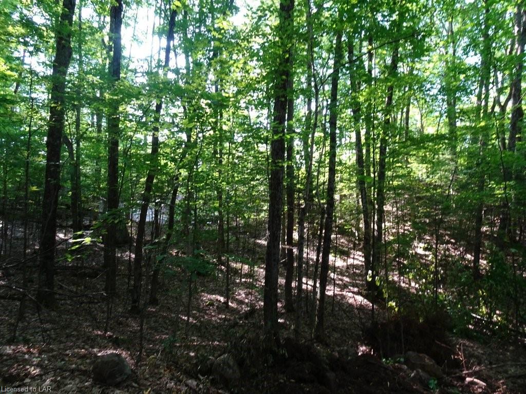 SELECT Trail, Haliburton Ontario, Canada