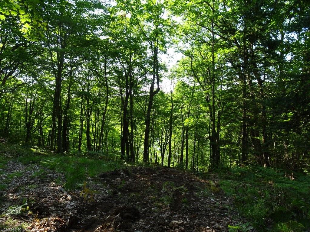 SELECT Trail, Haliburton Ontario, Canada