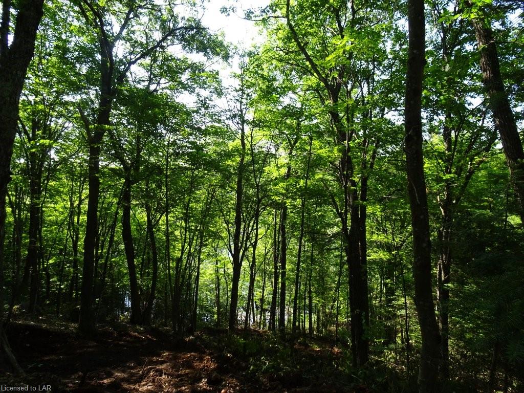 SELECT Trail, Haliburton Ontario, Canada