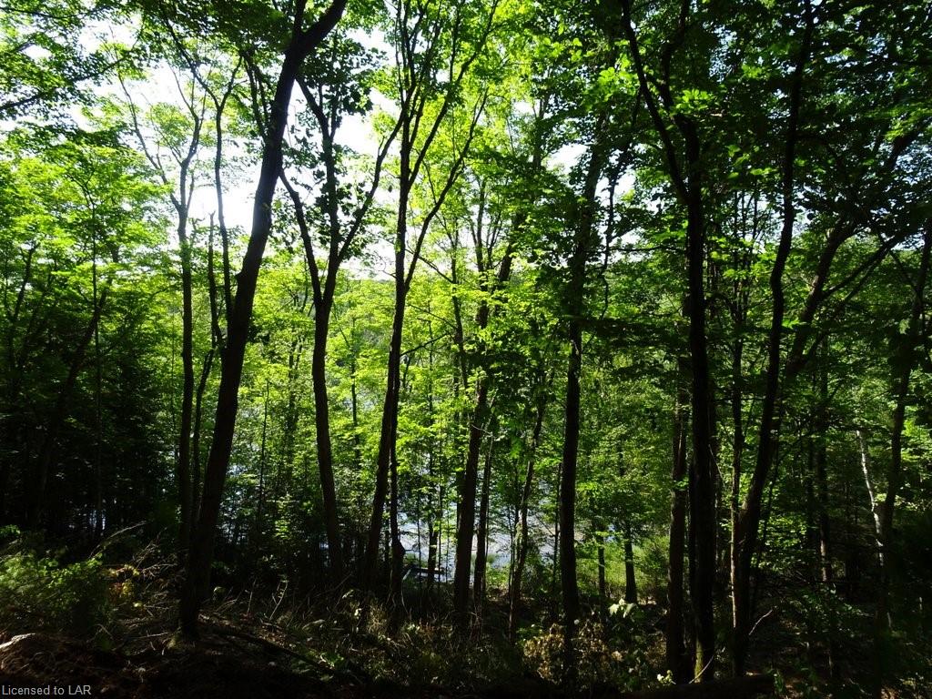 SELECT Trail, Haliburton Ontario, Canada