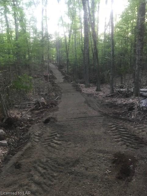 SELECT Trail, Haliburton Ontario, Canada
